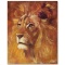 Lion by Fishwick, Stephen