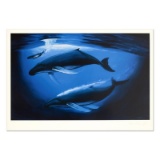 A Sea of Life by Wyland