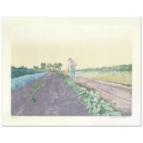Cabbage Patch by Nelson, William
