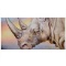 White Rhino by Katon, Martin