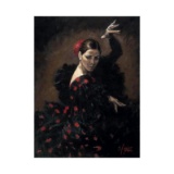 Pasion Flamenca by Perez, Fabian