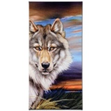 Wolf by Katon, Martin