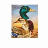 Mallard by Katon, Martin