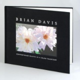 Brian Davis: Contemporary Master in a Grand Tradition by Davis, Brian