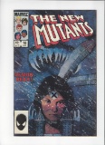 The New Mutants Issue #18 by Marvel Comics