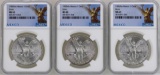 Lot of (3) 1983Mo Mexico Libertad Onza Silver Coins NGC MS65