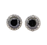 3.92 ctw Black Diamond Earrings - 14KT White Gold