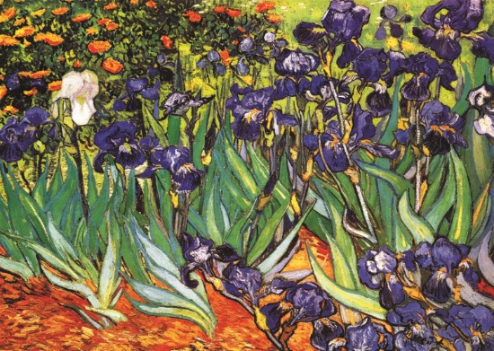 Garden Of Irises, By Vincent Van Gogh