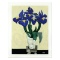 Irises by Barnum, Brenda