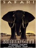 Steve Forney - Safari Serengeti