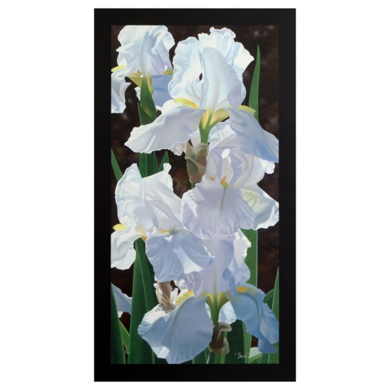 Enchanting Irises by Davis, Brian