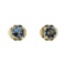 0.60 ctw Blue Topaz Stud Earrings - 14KT Yellow Gold