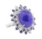 26.38 ctw Tanzanite and Diamond Ring - 14KT White Gold