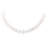 0.78 ctw Diamond and South Sea Pearl Necklace - 14KT White Gold