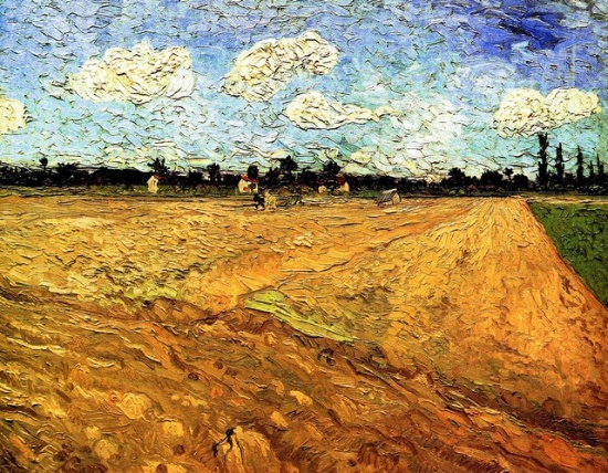 Van Gogh - Ploughed Field