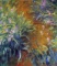 Claude Monet - Irises