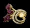 4.73 ctw Ruby and Diamond Ring - 14KT Yellow Gold