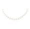 South Sea Pearl Necklace - 14KT White Gold