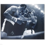 Licensed Photograph of the Heavyweight Champs Muhammad Ali and Ken Norton.