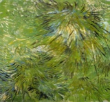 Van Gogh - Grass