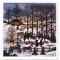 Jane Wooster Scott, 