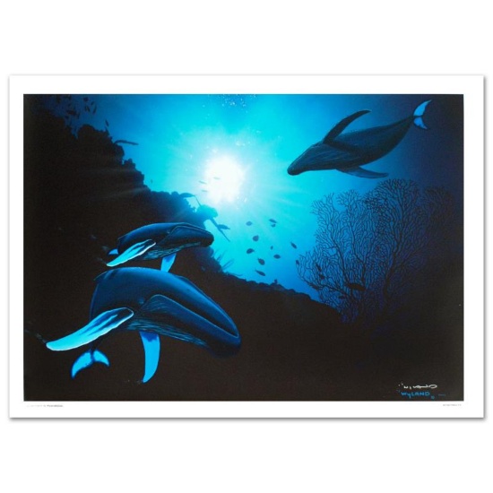 "Whale Vision" Limited Edition Giclee on Canvas (42" x 30") by renowned artist W
