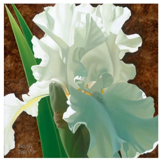 Brian Davis, "Solitary White Iris" Limited Edition Giclee on Canvas, Numbered an