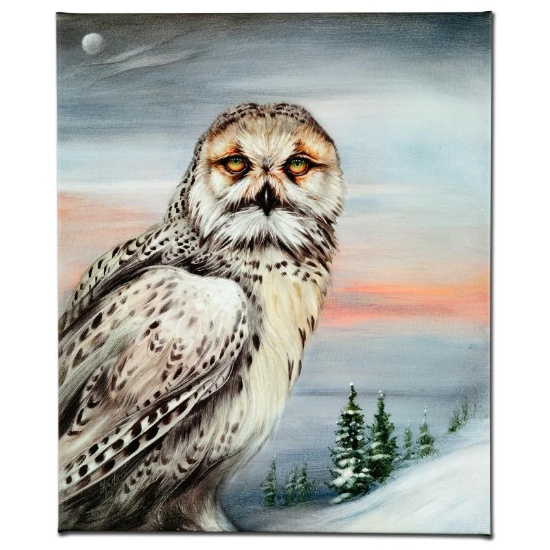 "Snow Owl in Alaska" Limited Edition Giclee on Canvas by Martin Katon, Numbered