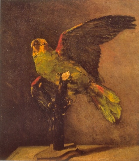 Van Gogh - Parrot