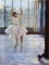 Edgar Degas - Dancer Being Photographed