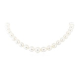 South Sea Pearl Necklace - 14KT White Gold