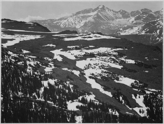 Adams - Rocky Mountain National Park Colorado 10