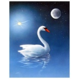 The Swan by Shotwell Original