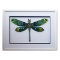 Dragonfly XL by Govezensky Original