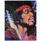 Purple Haze by Fishwick, Stephen