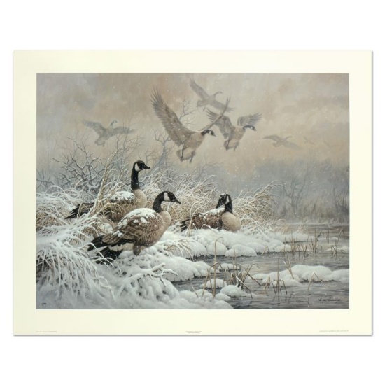 Winter Retreat - Canada Geese by Fanning (1938-2014)