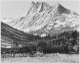 Adams - Boaring River, Kings River Canyon