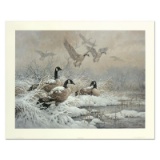 Winter Retreat - Canada Geese by Fanning (1938-2014)
