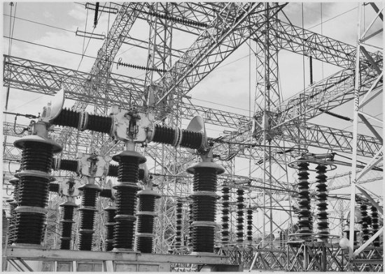 Adams - Electrical Wires of the Boulder Dam Power Units