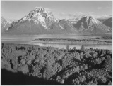 Adams - Mount Moran in Grand Teton Wyoming