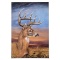 Stunning Stag by Katon, Martin