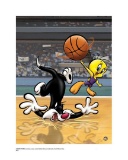 Warner Brothers Hologram Sylvester and Tweety Basketball