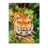 Tiger Surprise by Katon, Martin