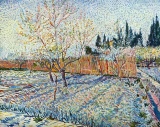 Van Gogh - Orchard With Cypress