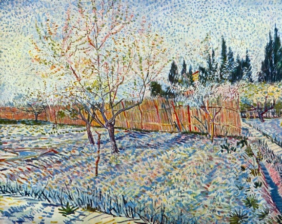 Van Gogh - Orchard With Cypress