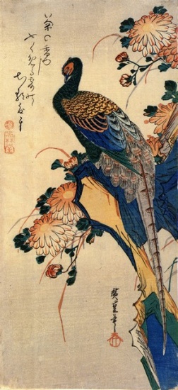 Hiroshige Pheasant and Chrysanthemum