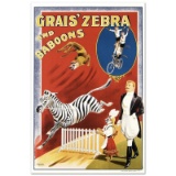 Grais Zebra & Baboons by RE Society