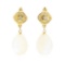 0.04 ctw Diamond and Mother of Pearl Dangle Earrings - 14KT Yellow Gold