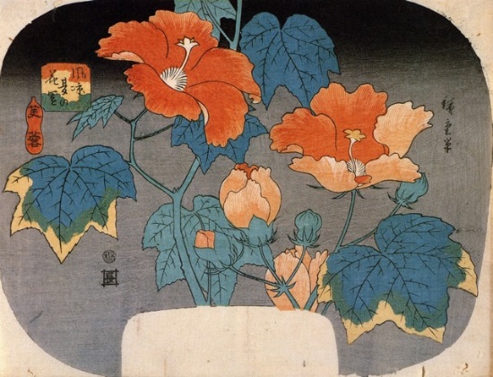 Hiroshige Hibiscus