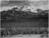 Adams - Rocky Mountain National Park Colorado 8